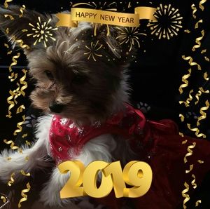 Meet your Posher, Kim